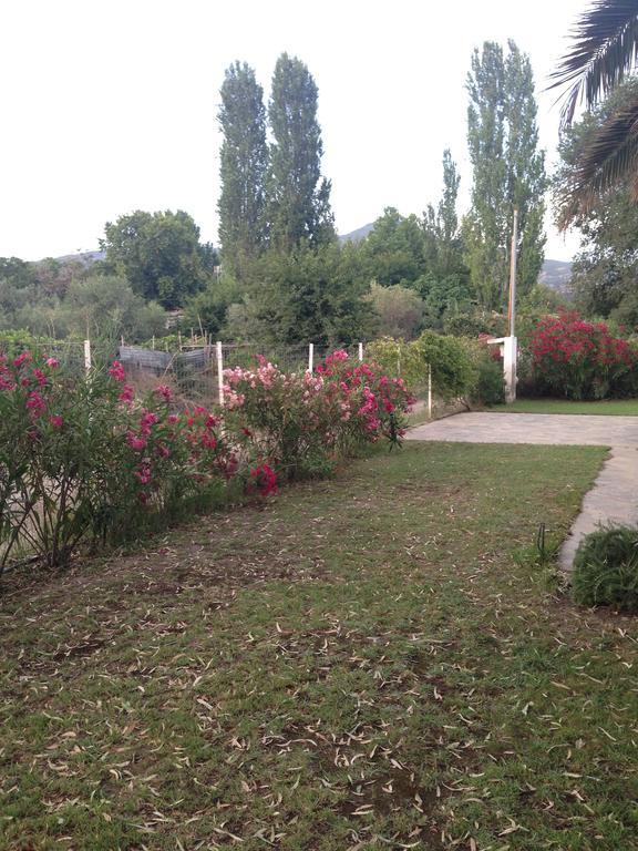 Villa Niki Néosz Marmarász Kültér fotó